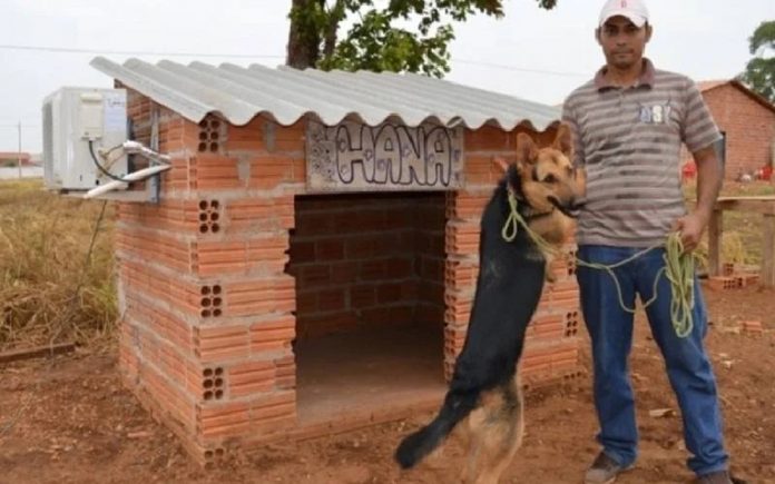 Homem instala ar-condicionado na casinha do seu cachorro: “Se a gente que é humano já passa mal com o calor, imagina o bichinho?”