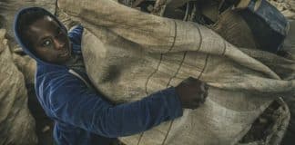 Foto de catadora de recicláveis é indicada a prêmio internacional de sustentabilidade