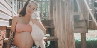 Mulher grávida e gata prenha recém-adotada dão à luz juntas dias após ela ser adotada
