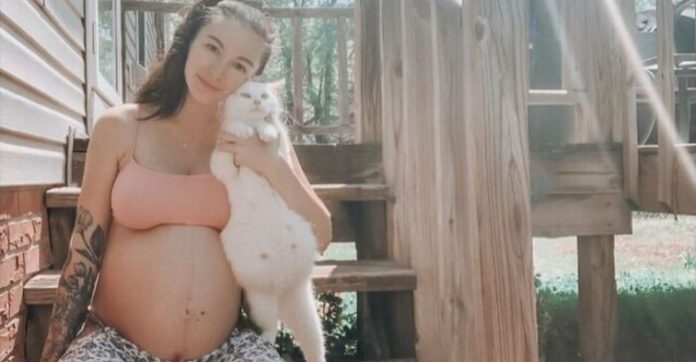 Mulher grávida e gata prenha recém-adotada dão à luz juntas dias após ela ser adotada