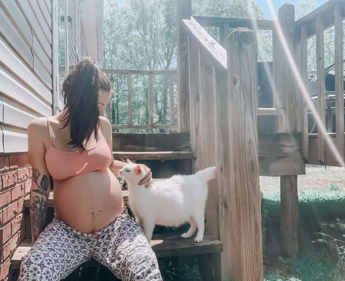 revistapazes.com - Mulher grávida e gata prenha recém-adotada dão à luz juntas dias após ela ser adotada