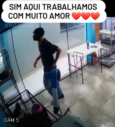 revistapazes.com - Funcionário de pet shop é "flagrado" dançando com cachorrinha: 'Amor à primeira vista' [VIDEO]