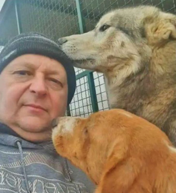 revistapazes.com - “Eles são minha vida, minha missão na Terra”: homem resgata cães abandonados na Sérvia há 20 anos