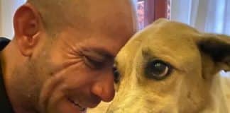 Após 45 dias, eis o reencontro da cachorra Pandora