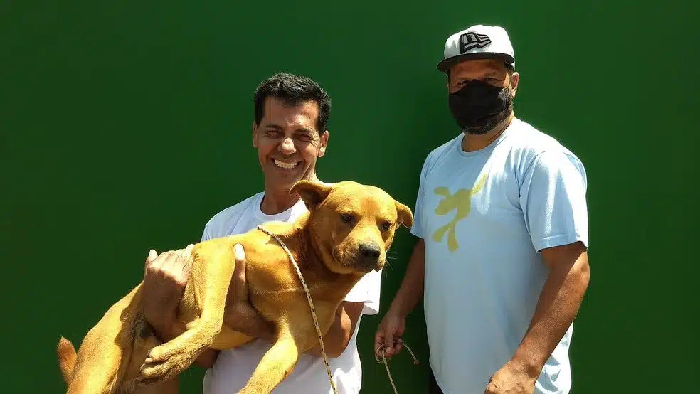 revistapazes.com - Cachorro é resgatado por tutor após ser atacado por ouriço em Araras (SP)