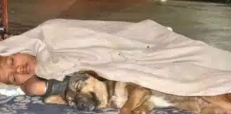 Menino sem-teto sobreviveu por anos nas ruas da Índia ao lado de seu fiel cachorrinho