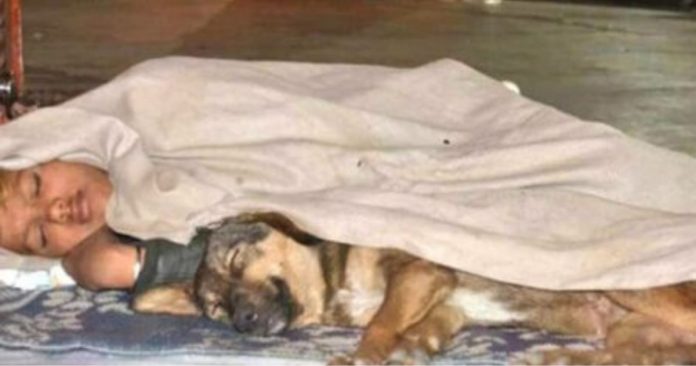 Menino sem-teto sobreviveu por anos nas ruas da Índia ao lado de seu fiel cachorrinho