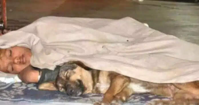 CAPA (3) Menino sem-teto sobreviveu por anos nas ruas da Índia ao lado de seu fiel cachorrinho