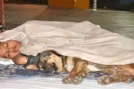 Menino sem-teto sobreviveu por anos nas ruas da Índia ao lado de seu fiel cachorrinho revistapazes.com - Menino sem-teto sobreviveu por anos nas ruas da Índia ao lado de seu fiel cachorrinho