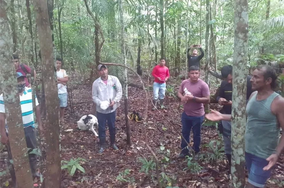 revistapazes.com - Irmãos encontrados após 26 dias perdidos na Floresta Amazônica são resgatados no AM