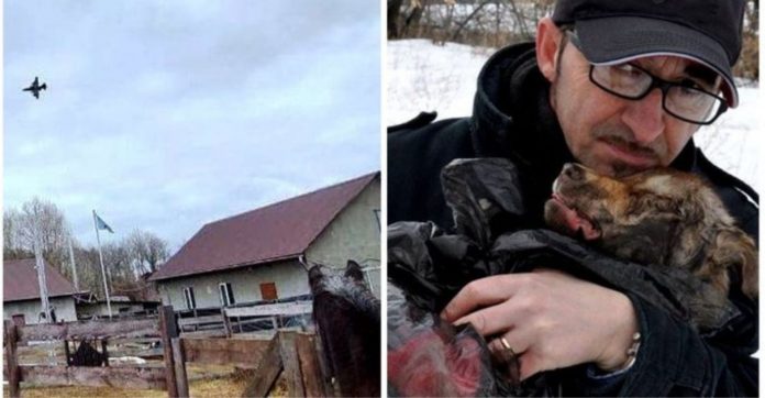 Socorrista se recusa a deixar seus 450 animais na Ucrânia: “Prefiro perder minha vida com eles”