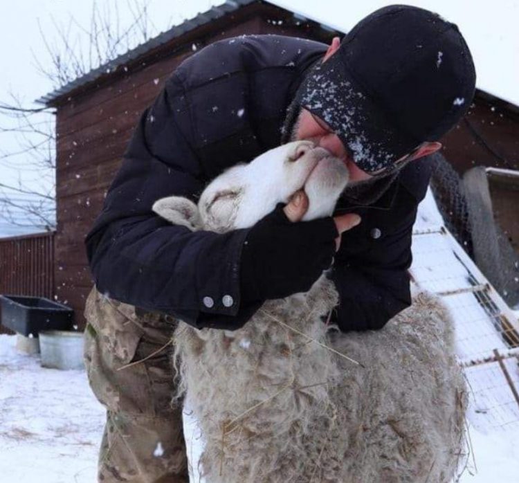 revistapazes.com - Socorrista se recusa a deixar seus 450 animais na Ucrânia: "Prefiro perder minha vida com eles"