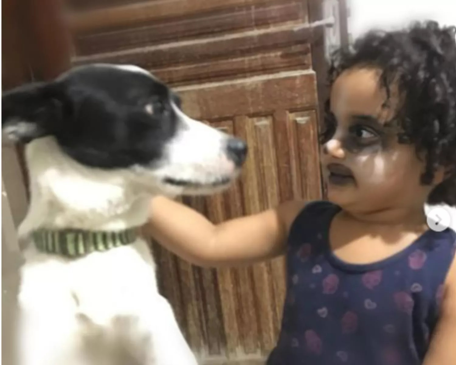 revistapazes.com - Menina de 2 anos viraliza ao fazer maquiagem para ficar igual ao seu cãozinho [VIDEO]
