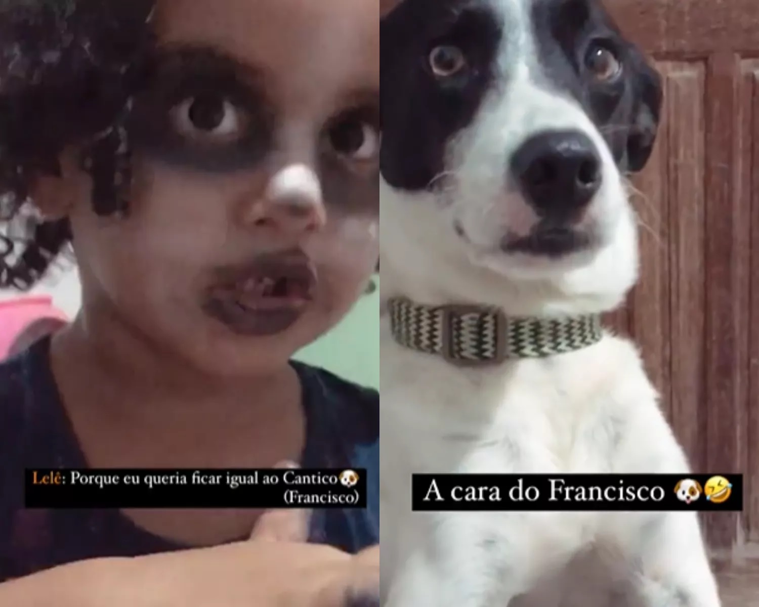 revistapazes.com - Menina de 2 anos viraliza ao fazer maquiagem para ficar igual ao seu cãozinho [VIDEO]