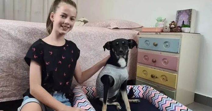 Família de menina que cedeu agasalho para cachorrinha ferida na chuva adota ‘Pretinha’
