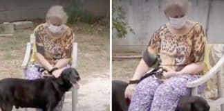 Cãozinho se muda para casa de repouso para fazer companhia à dona: ‘Meu grande amigo’