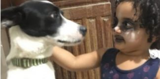 Menina de 2 anos viraliza ao fazer maquiagem para ficar igual ao seu cãozinho [VIDEO]