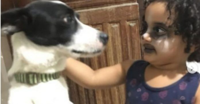 Menina de 2 anos viraliza ao fazer maquiagem para ficar igual ao seu cãozinho [VIDEO]