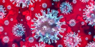 Hepatite grave em crianças: estudo sugere que infecção prévia por Covid pode ser responsável pelo surto