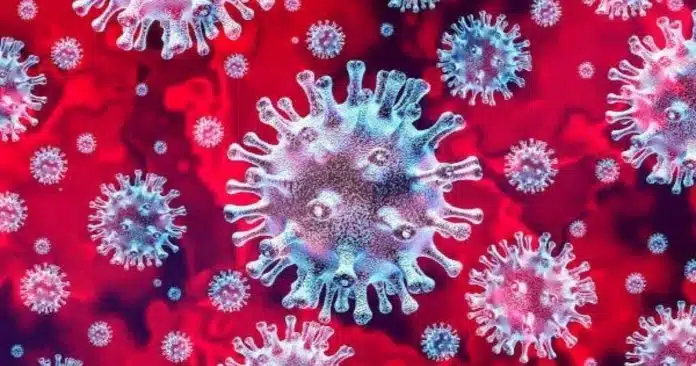 CAPA (1) Hepatite grave em crianças: estudo sugere que infecção prévia por Covid pode ser responsável pelo surto