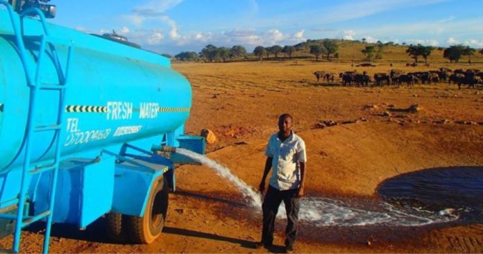 Homem dirige caminhão-pipa por horas para salvar centenas de animais que morriam de sede