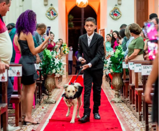 revistapazes.com - Casal leva cães como pajens e padre, em razão disso, se recusa a dar a benção final aos noivos