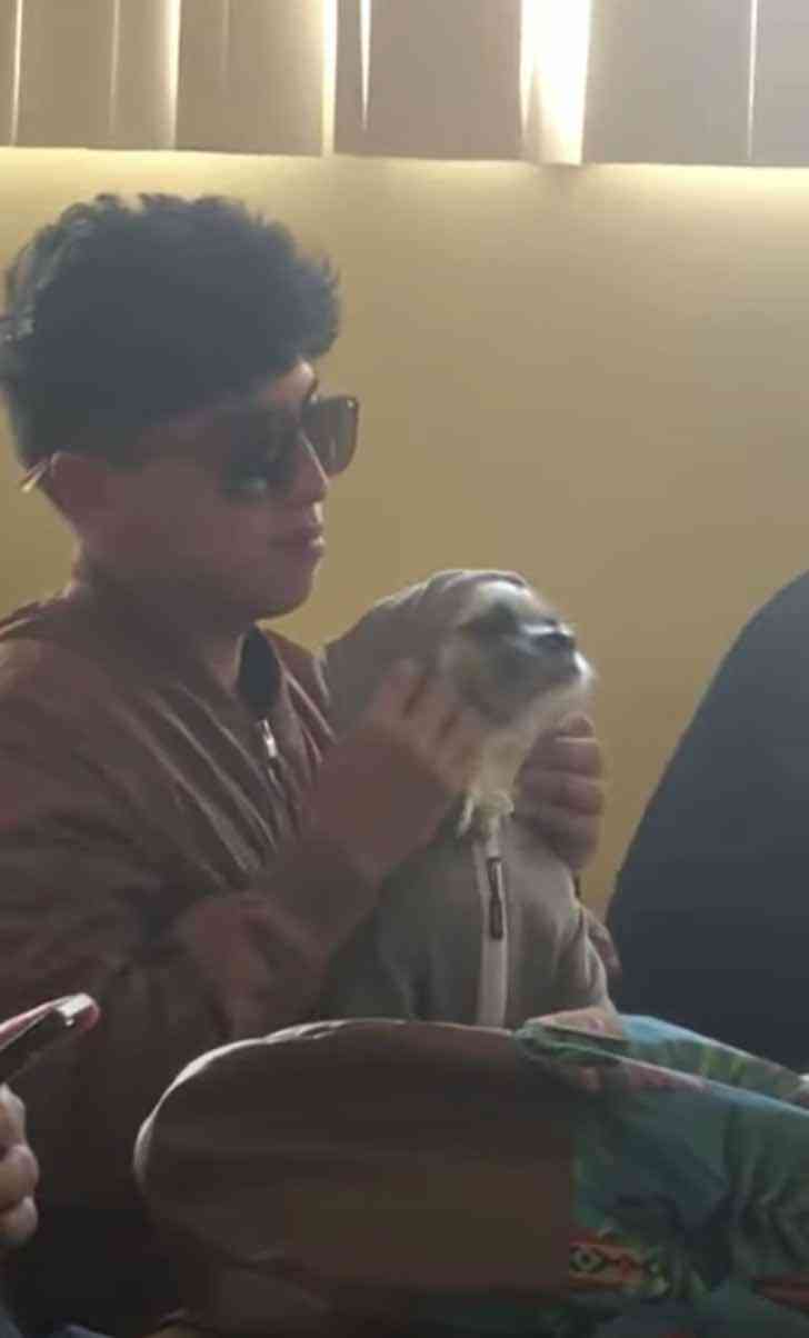 revistapazes.com - "É o meu companheiro": Estudante leva cão para faculdade e faz carinho nele enquanto assiste aula [VIDEO]