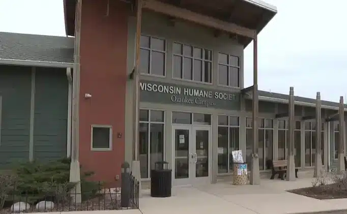 Cachorrinha é abandonada amarrada em hidrante ao lado de mochila com todos seus pertences revistapazes.com - Cachorrinha é abandonada amarrada em hidrante ao lado de mochila com todos seus pertences