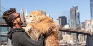 Conheça  Jesse Koz: o influenciador que percorreu o mundo de fusca ao lado do seu cachorro