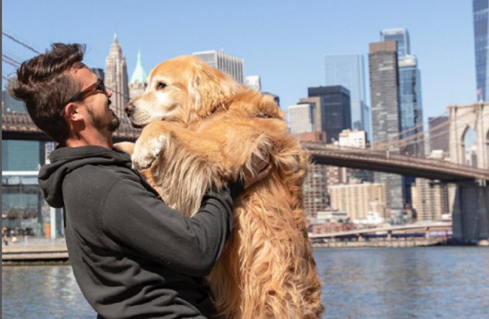 Conheça  Jesse Koz: o influenciador que percorreu o mundo de fusca ao lado do seu cachorro