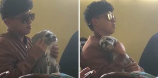 “É o meu companheiro”: Estudante leva cão para faculdade e faz carinho nele enquanto assiste aula [VIDEO]