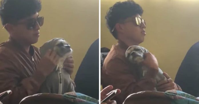 “É o meu companheiro”: Estudante leva cão para faculdade e faz carinho nele enquanto assiste aula [VIDEO]