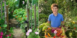 Adolescente apaixonado por plantar cria oásis de alimentos orgânicos em terreno dado pelos pais