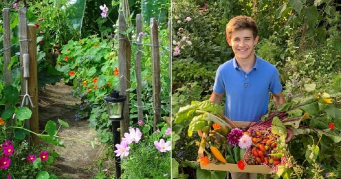 Adolescente apaixonado por plantar cria oásis de alimentos orgânicos em terreno dado pelos pais