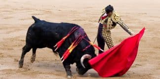 Em decisão histórica, Justiça do México proíbe touradas: ‘Fim do abate de animais inocentes’