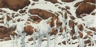 Quantos cavalos você enxerga na imagem? Essa ilusão ótica pode confundir o seu intelecto