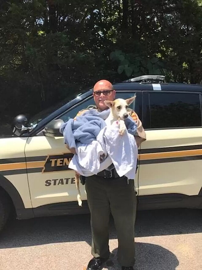 revistapazes.com - Policial protege cão de sol escaldante enquanto aguarda socorro e imagem emociona as redes sociais