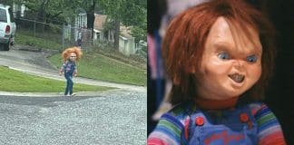 Garotinho de 5 anos se veste de Chucky e assusta vizinhos nos Estados Unidos