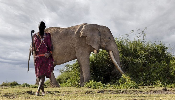 revistapazes.com - Guerreiros nômades protegem um dos últimos elefantes com presas gigantes do mundo