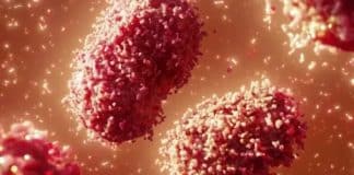 A OMS declara varíola dos macacos como emergência de saúde global