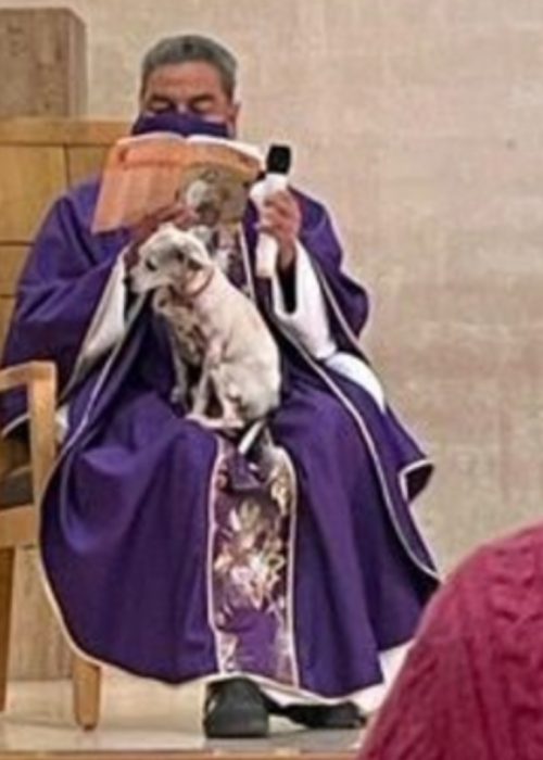 revistapazes.com - Fiéis criticam padre que celebrou missa com seu cachorrinho doente no colo para não deixá-lo sozinho