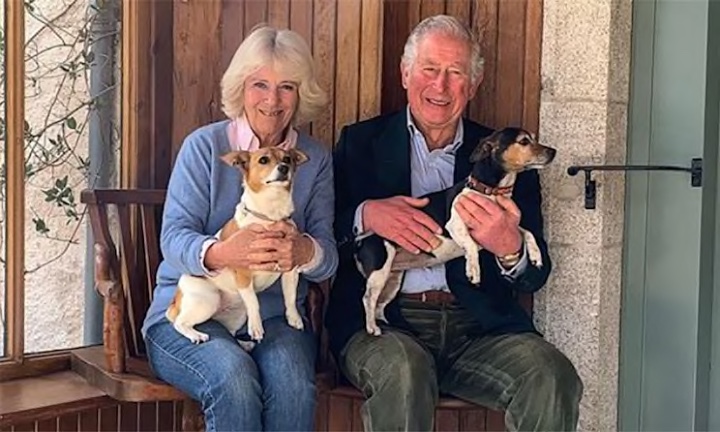 revistapazes.com - Conheçam Beth e Bluebell: os doguinhos resgatados que são os novos mascotes reais do Palácio de Buckingham