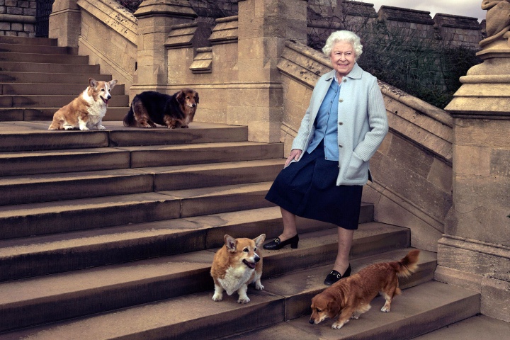 revistapazes.com - Conheçam Beth e Bluebell: os doguinhos resgatados que são os novos mascotes reais do Palácio de Buckingham