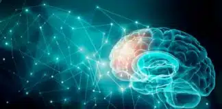 Psicologia das cartas: confira alguns dos benefícios em ser um adepto do poker