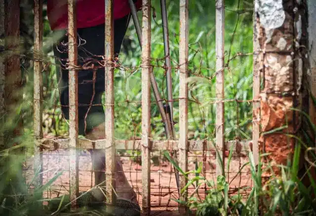 Idosa que era agredida todos os dias pelo filho dependente químico tem "esperança" de vê-lo solto revistapazes.com - Idosa que era agredida todos os dias pelo filho dependente químico tem "esperança" de vê-lo solto