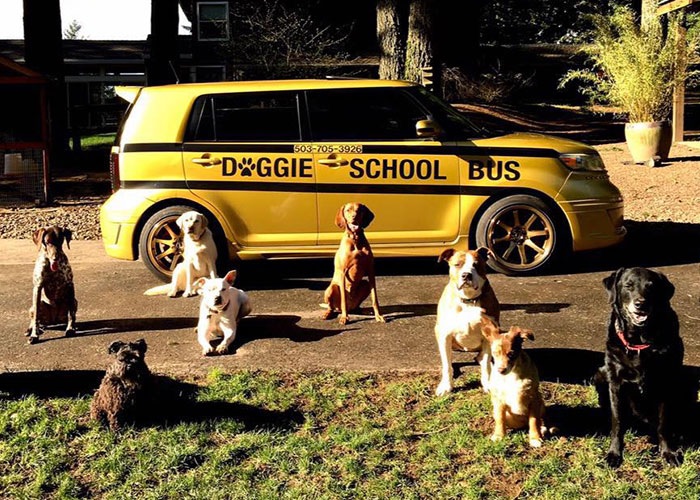 revistapazes.com - Homem larga profissão de padeiro e se torna motorista de ônibus escolar canino: 'Amo o que faço'