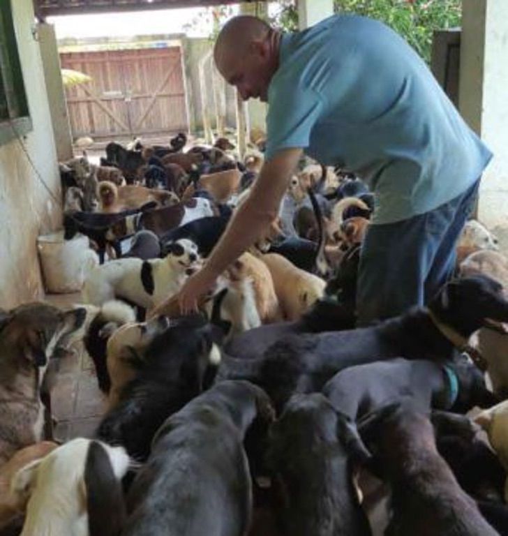 revistapazes.com - Homem larga tudo que tinha para cuidar de abrigo com 800 cães resgatados das ruas