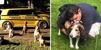 Homem larga profissão de padeiro e se torna motorista de ônibus escolar canino: ‘Amo o que faço’