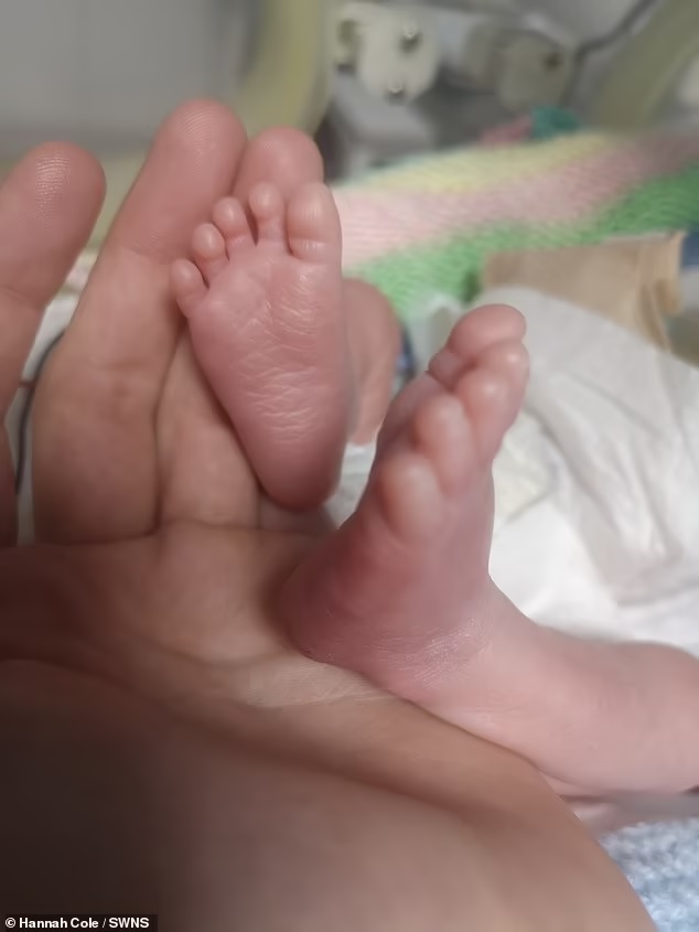 revistapazes.com - Mãe dá à luz filho dias depois de médicos dizerem que ele havia morrido em seu útero