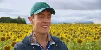 Jovem agricultor cria trilha com 250 mil girassóis que atrai visitantes do mundo todo [VIDEO]